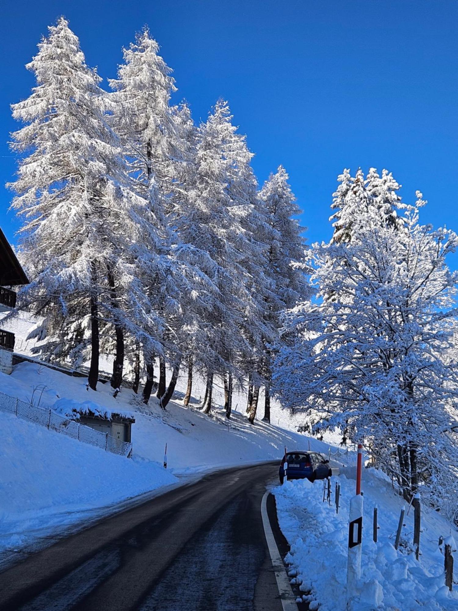 Sweet & Cosy Chalet In The Heart Of The Swiss Alps Troistorrents Exteriör bild